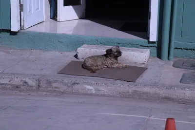 DSC_1898 (Large).JPG